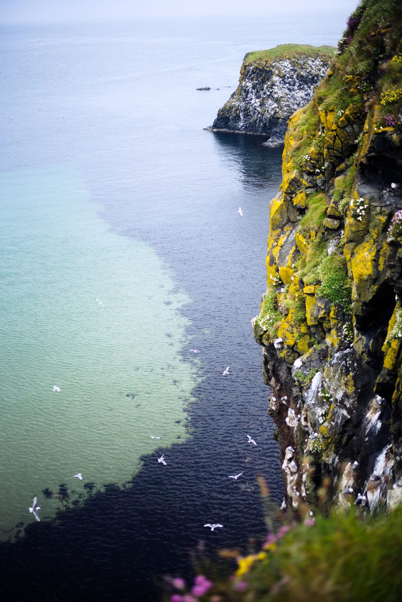 Northern Ireland Rope Bridge