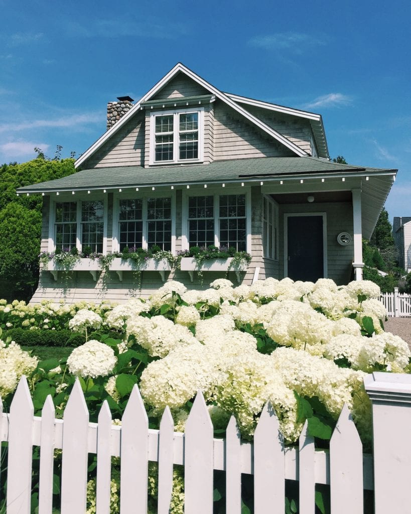 House in Westport with a yard full of hydrangeas. 