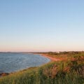 Nantucket Bluff