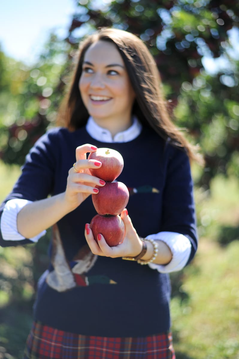 Fall recipes to bake with apples from apple picking