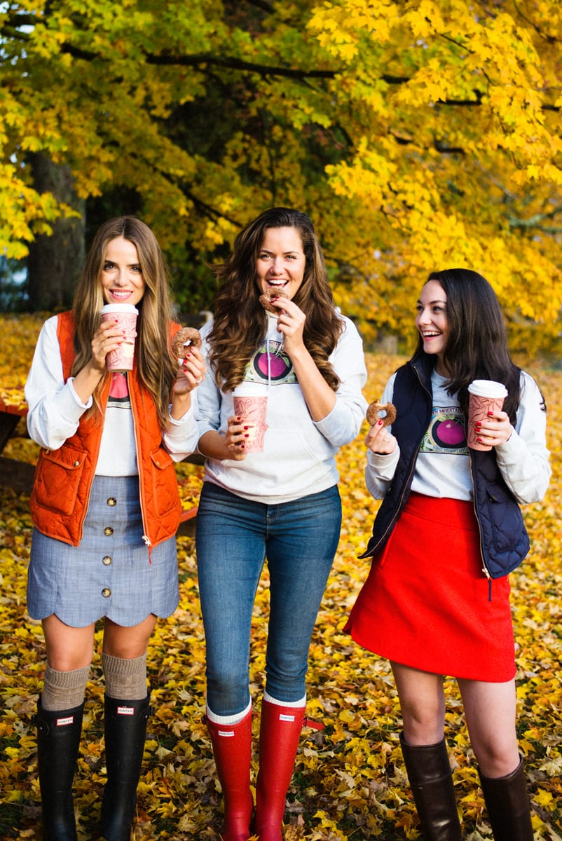 apple cider doughnuts in vermont