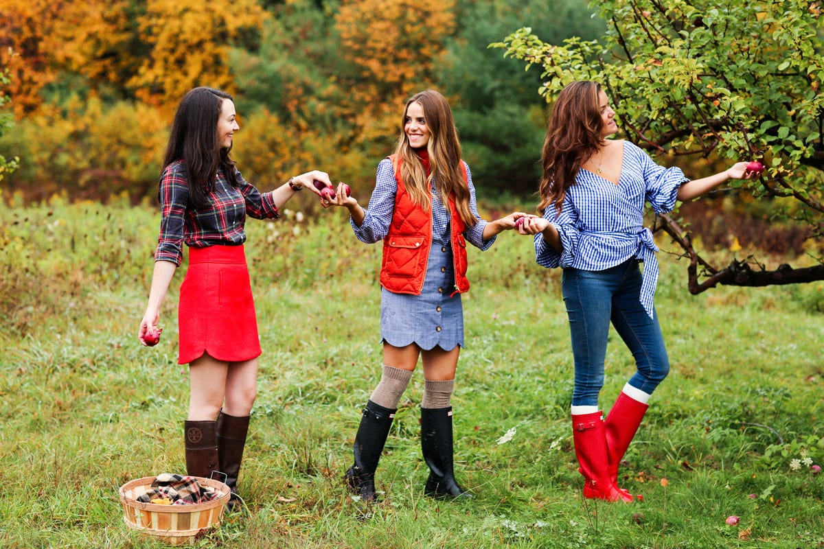 Apple picking in vermont