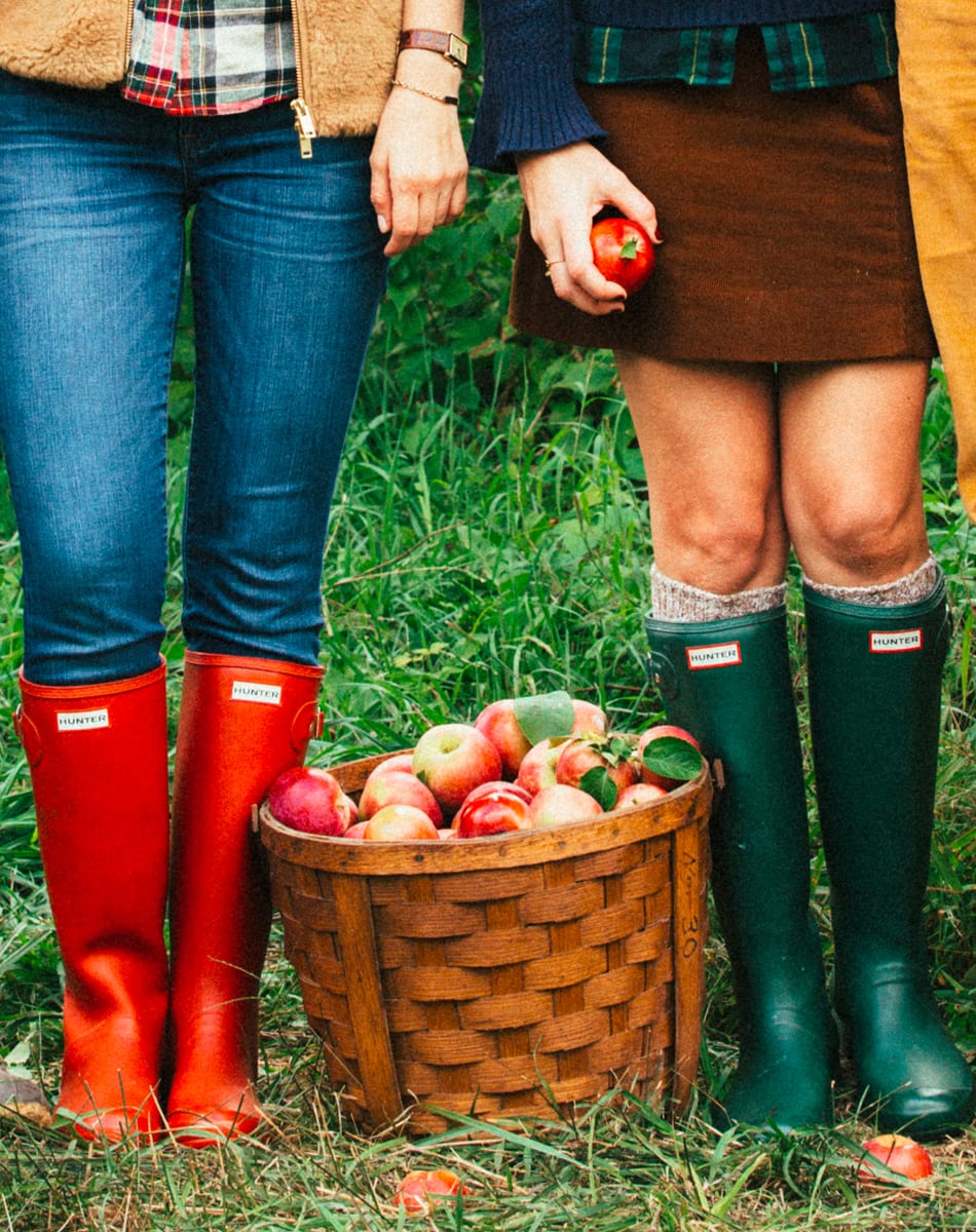 Hunter Rainboots