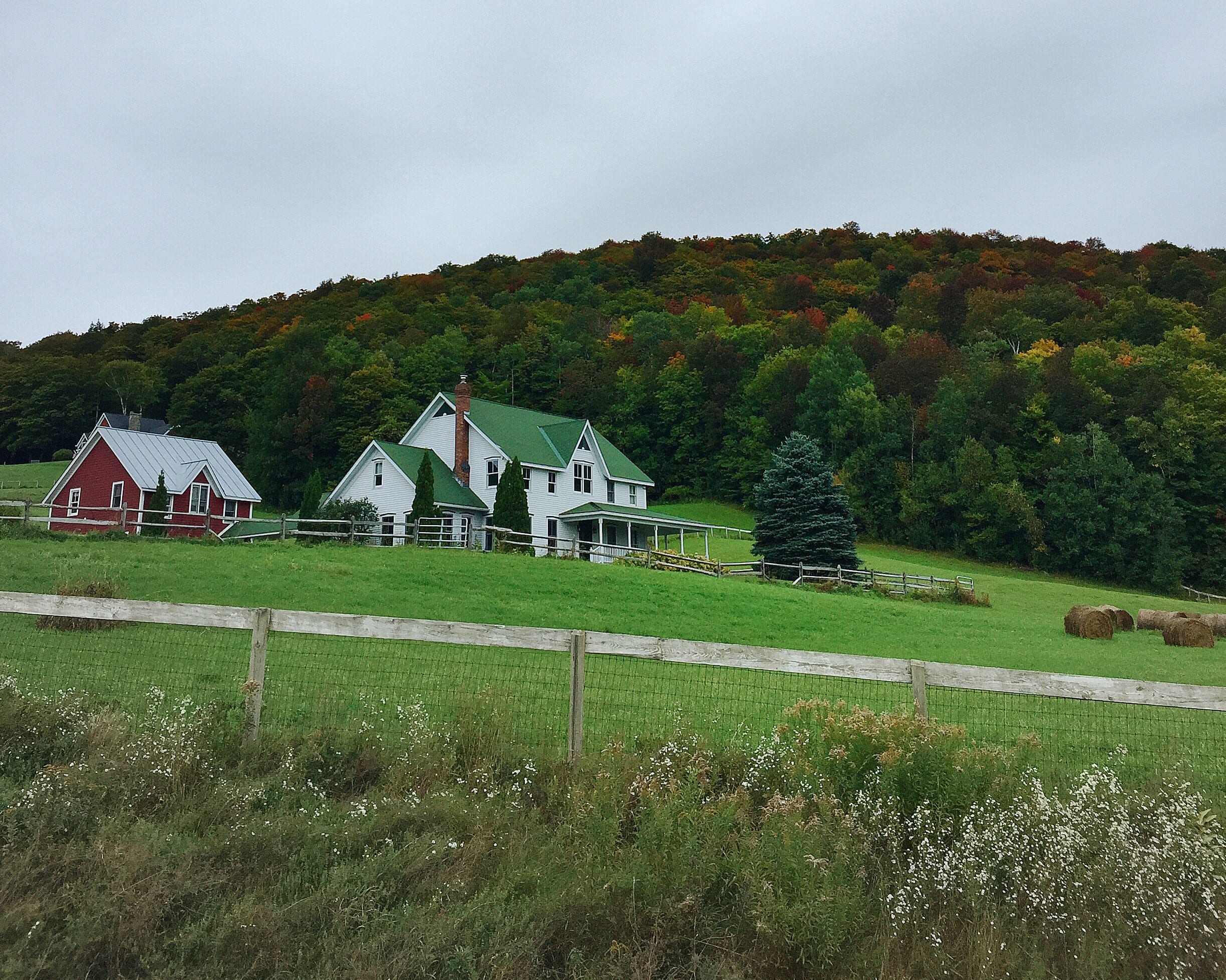 Vermont Foliage