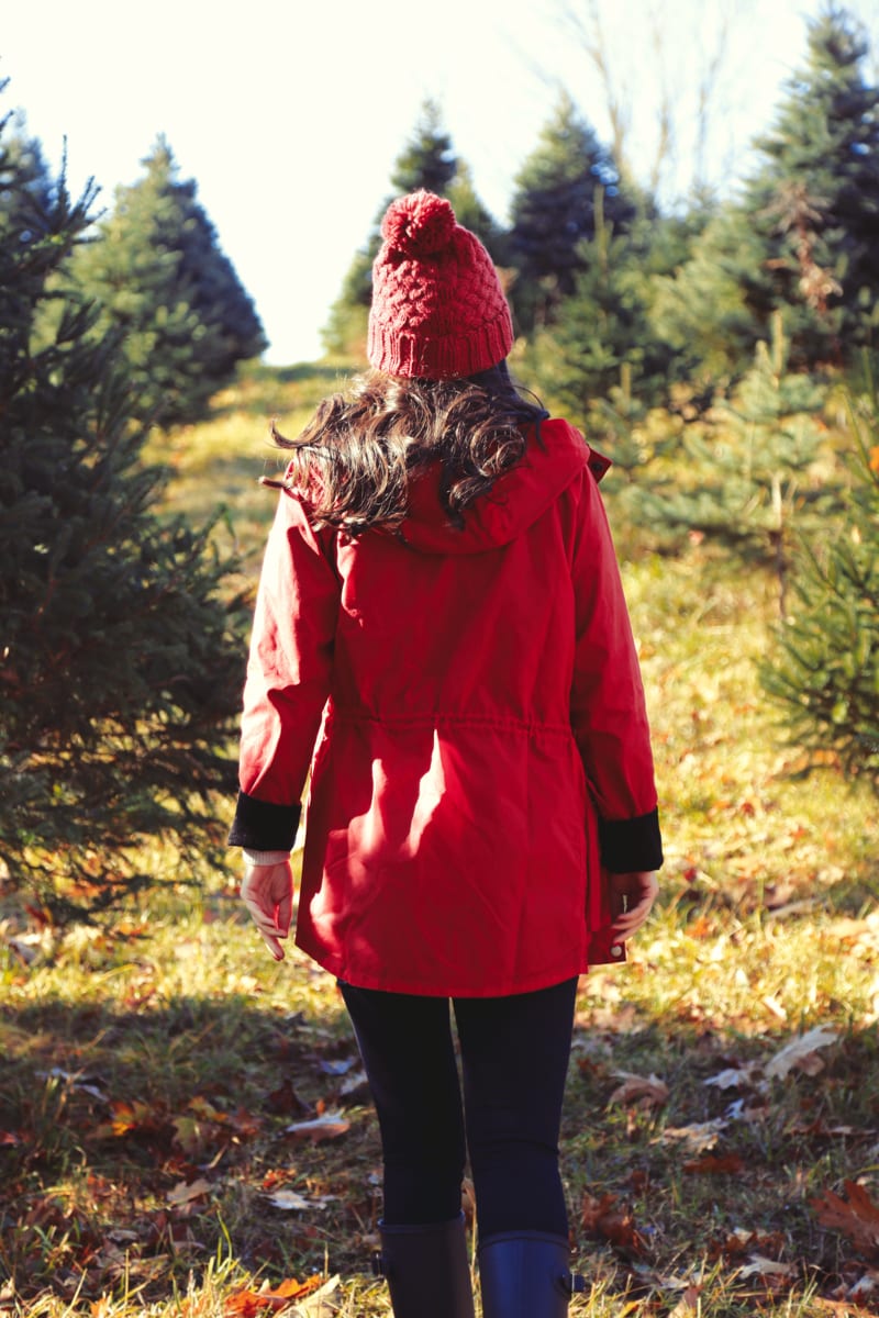 barbour christmas tree outfit