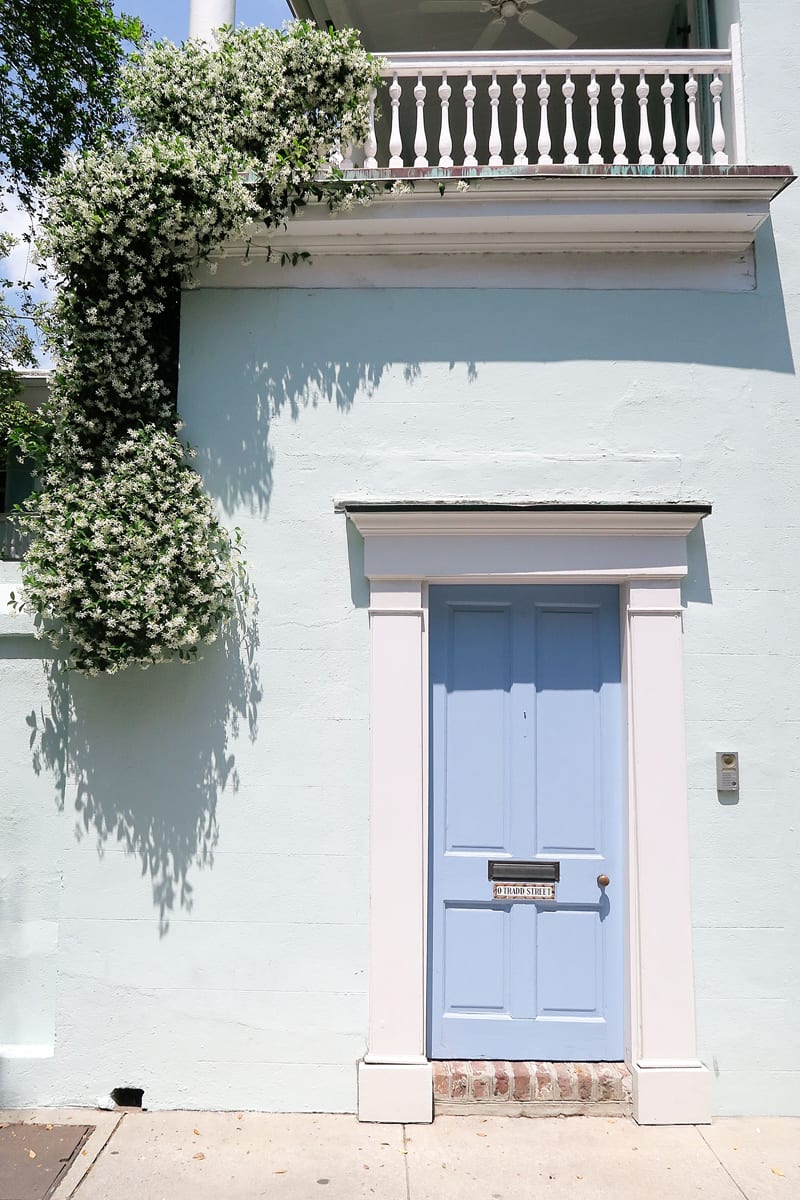 Charleston Door