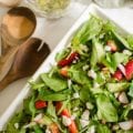 strawberry-spinach-salad-seed-salad-dressing