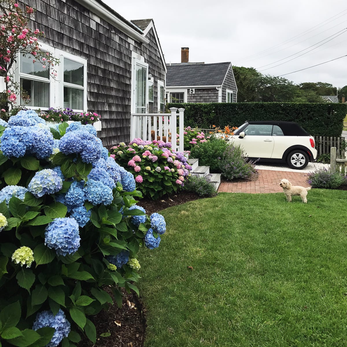 Nantucket Rental