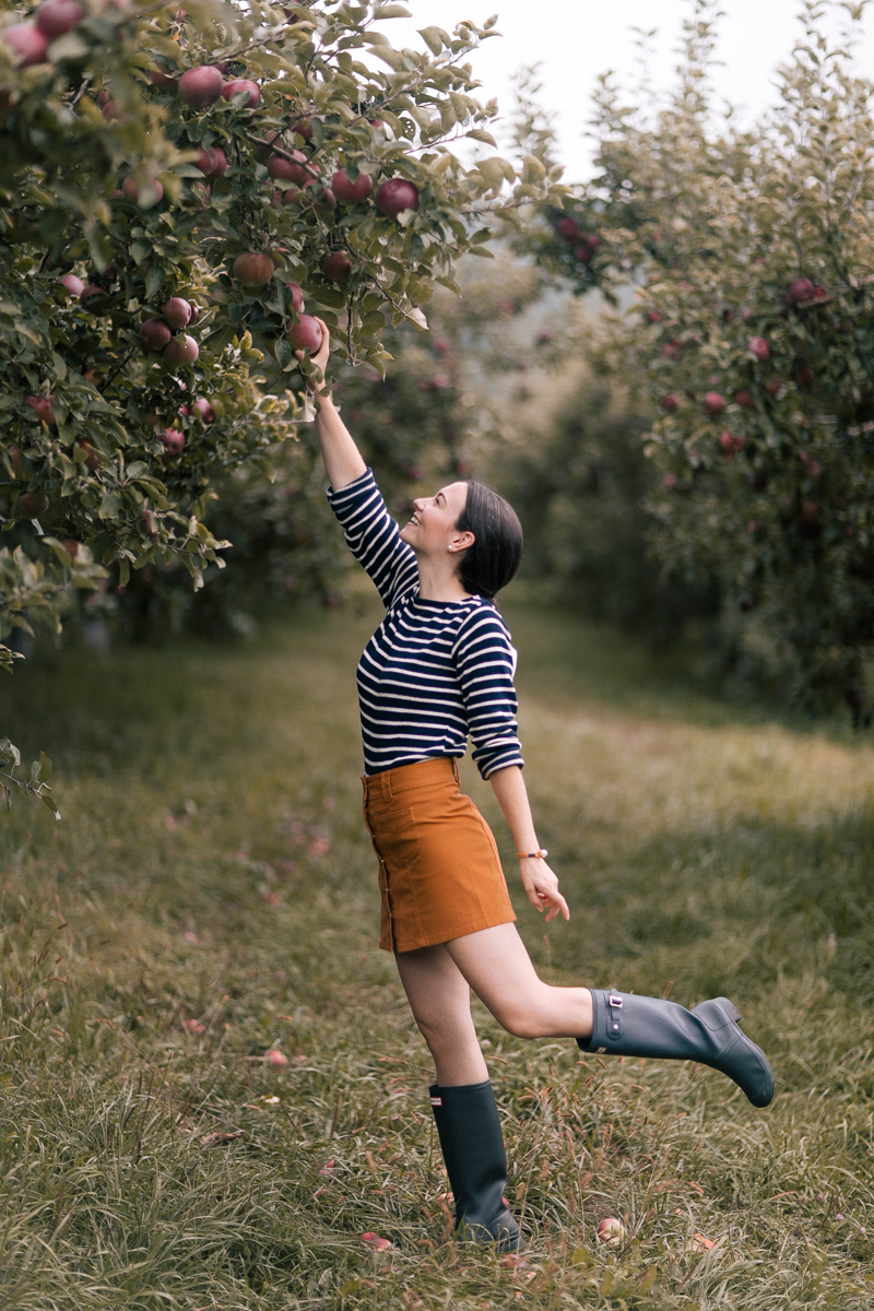 Apple Picking Photo Inspiration