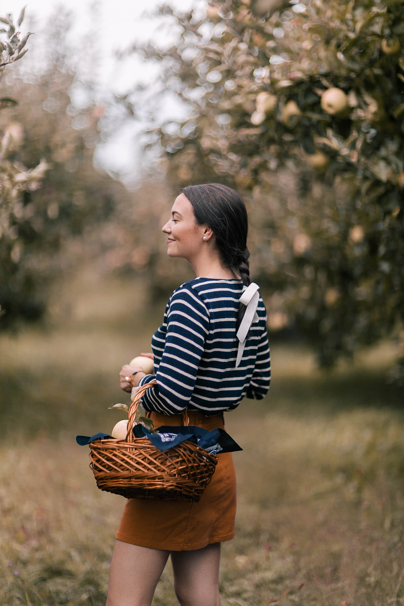 Apple Picking