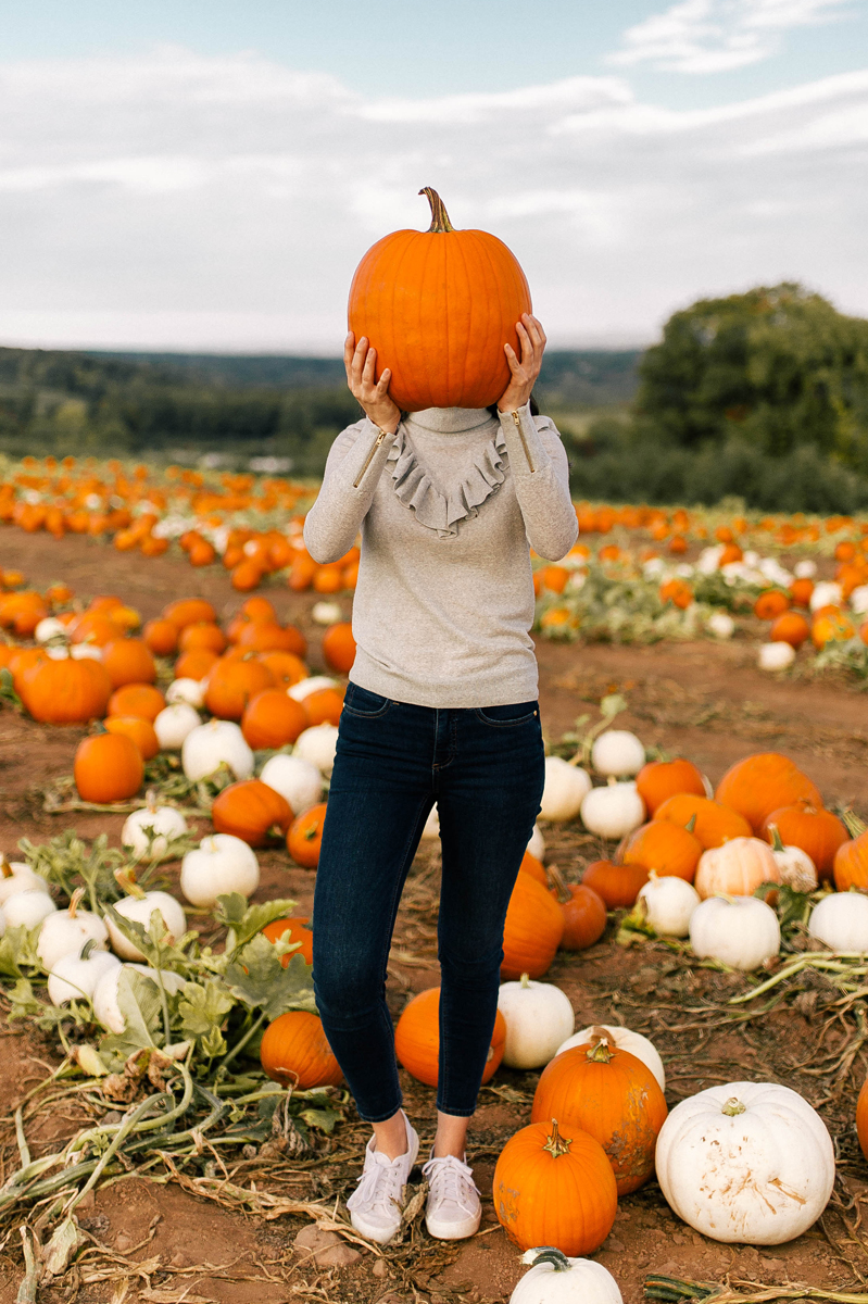 J.Crew Tippi Ruffle Turtleneck Sweater