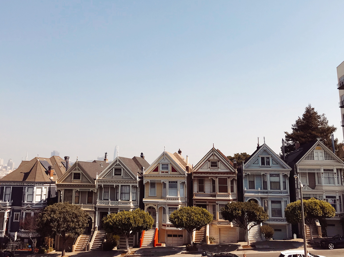 Painted Ladies