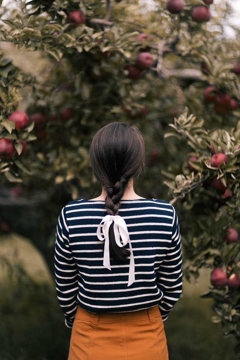 Ribbon and braid