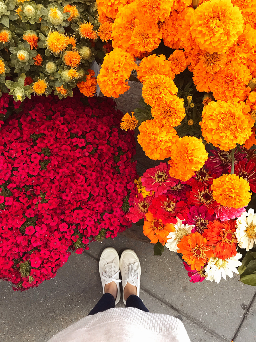 San Francisco Farmer's Market