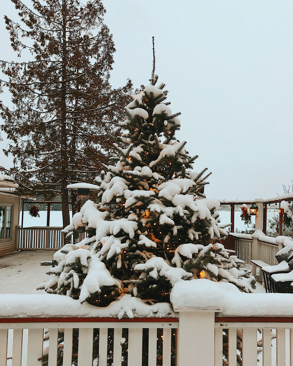 Flocked Christmas Tree