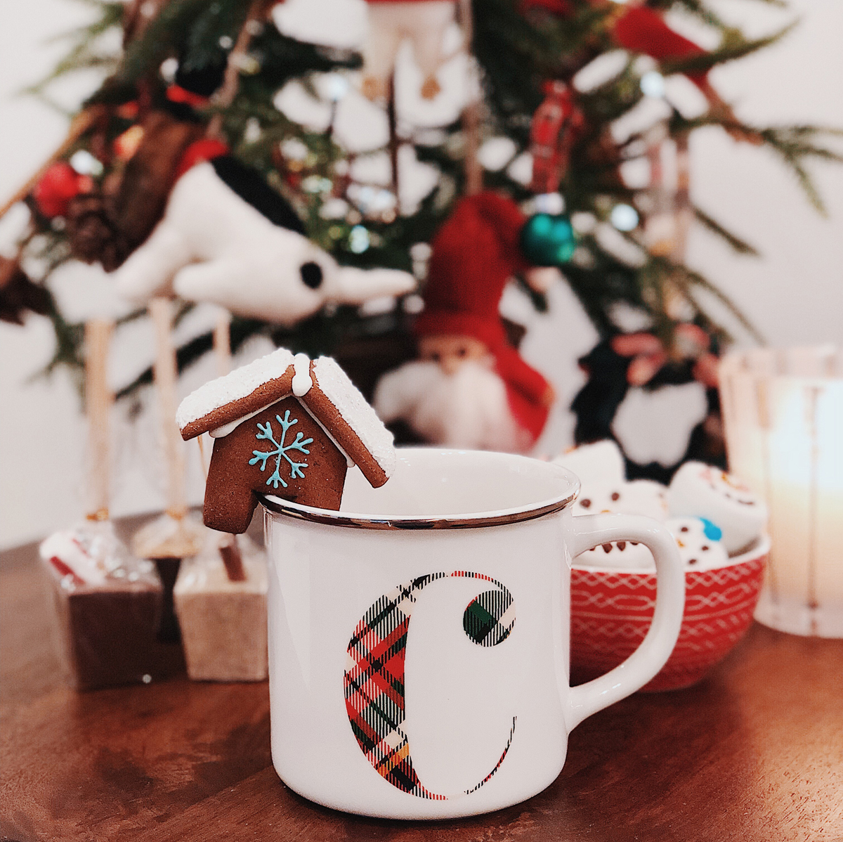 Monogrammed Plaid Mug