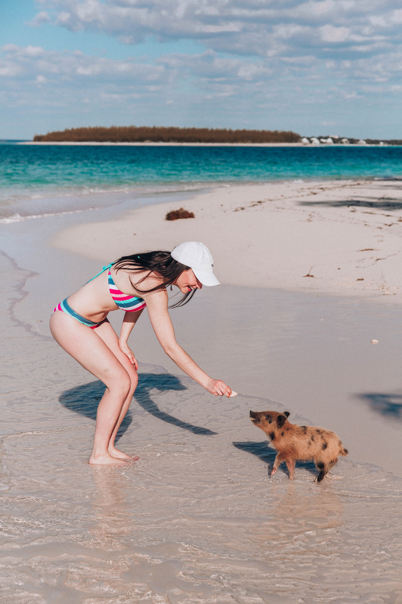 Swimming Pigs Bahamas