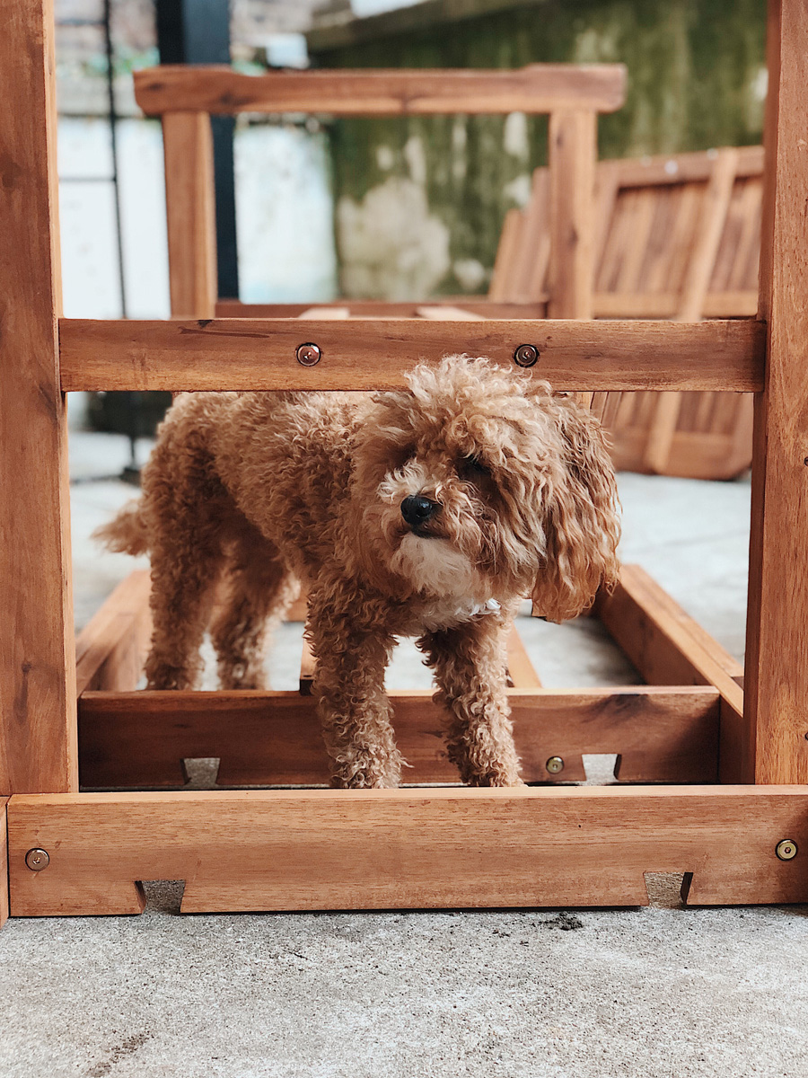 Wayfair Table