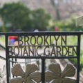 Brooklyn Botanical Garden