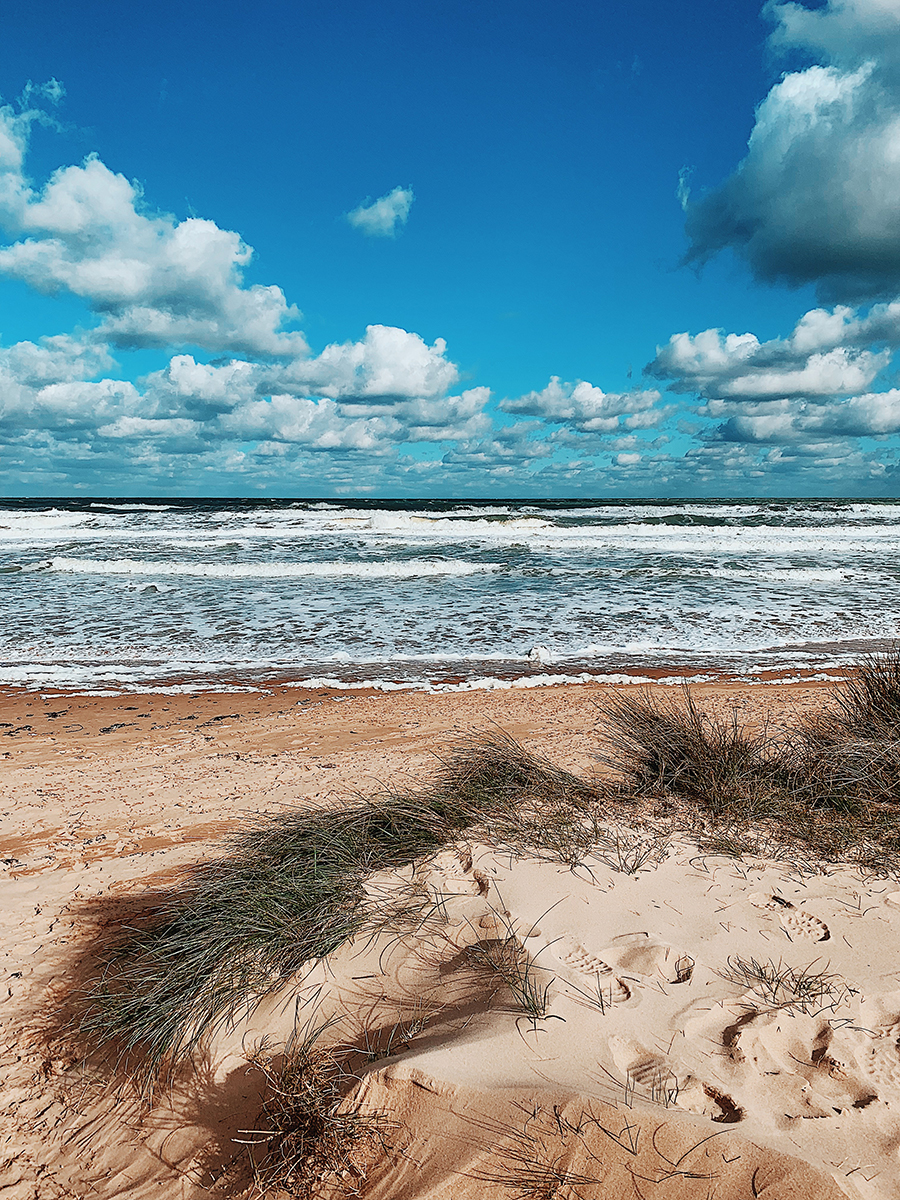 Normandy Beaches