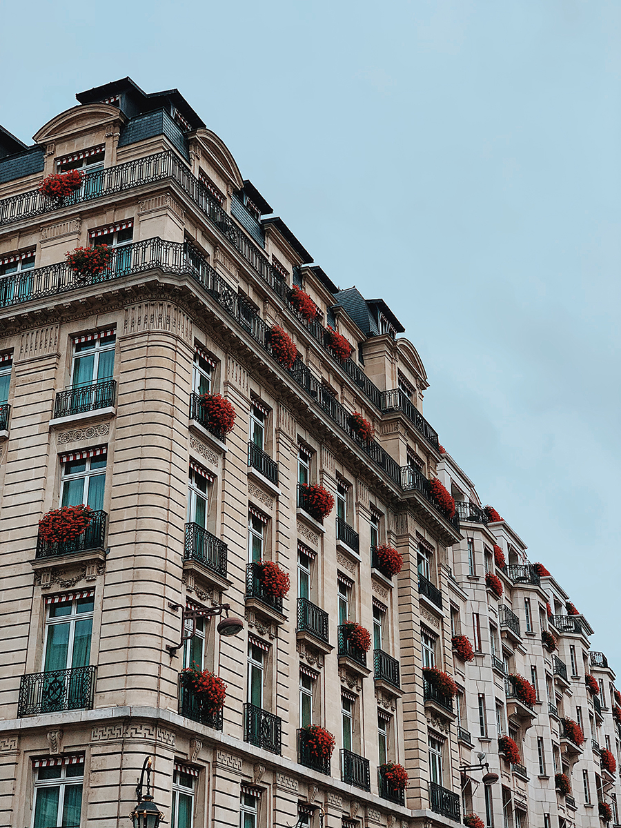 Paris Rooftop