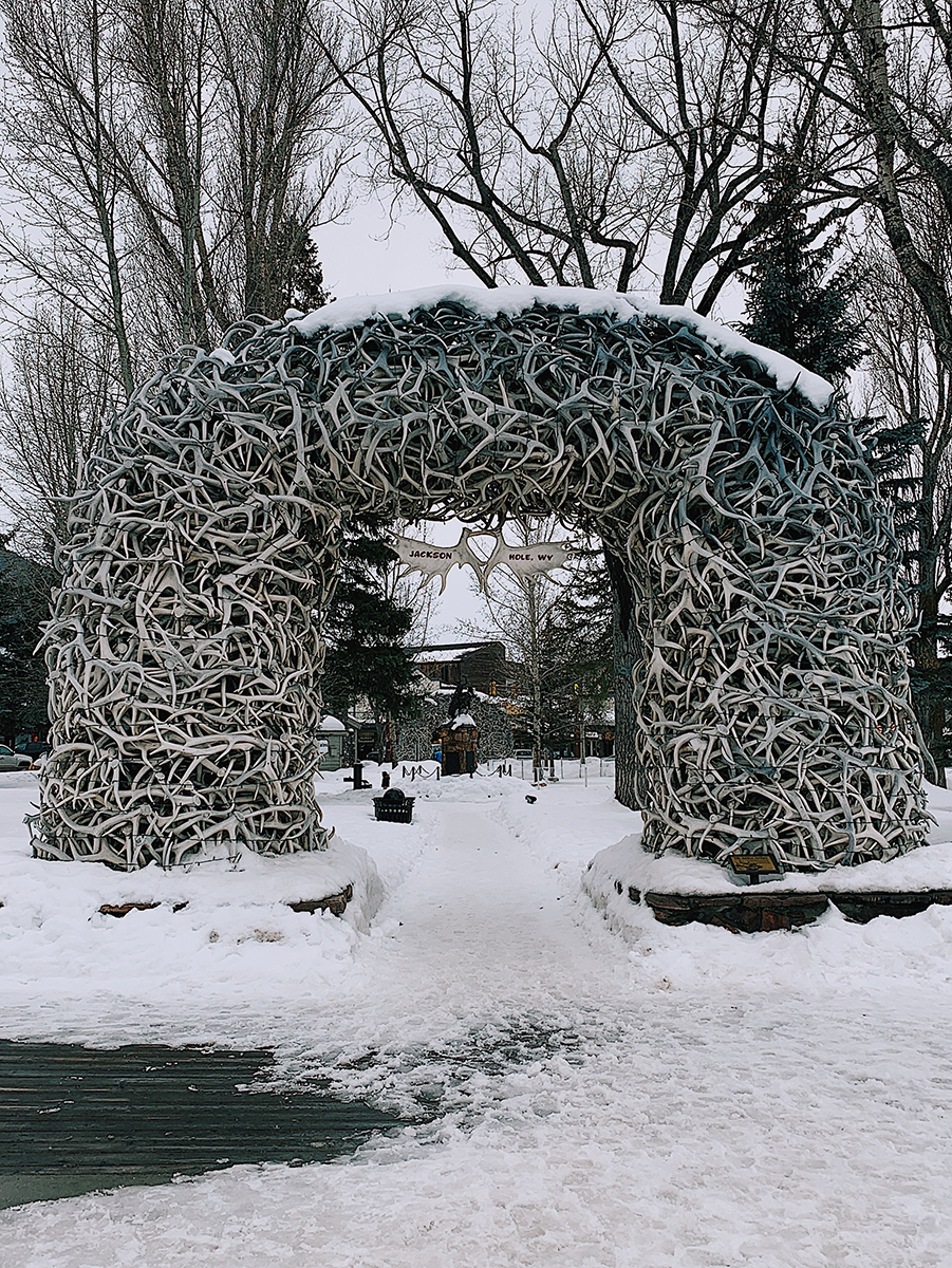 Jackson Hole Antler Arches