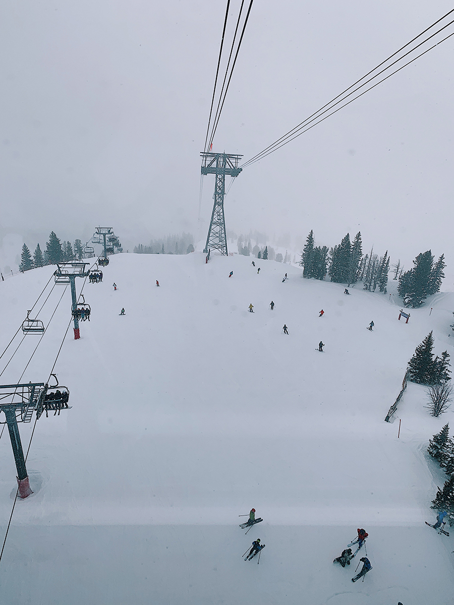 Jackson Hole Skiing