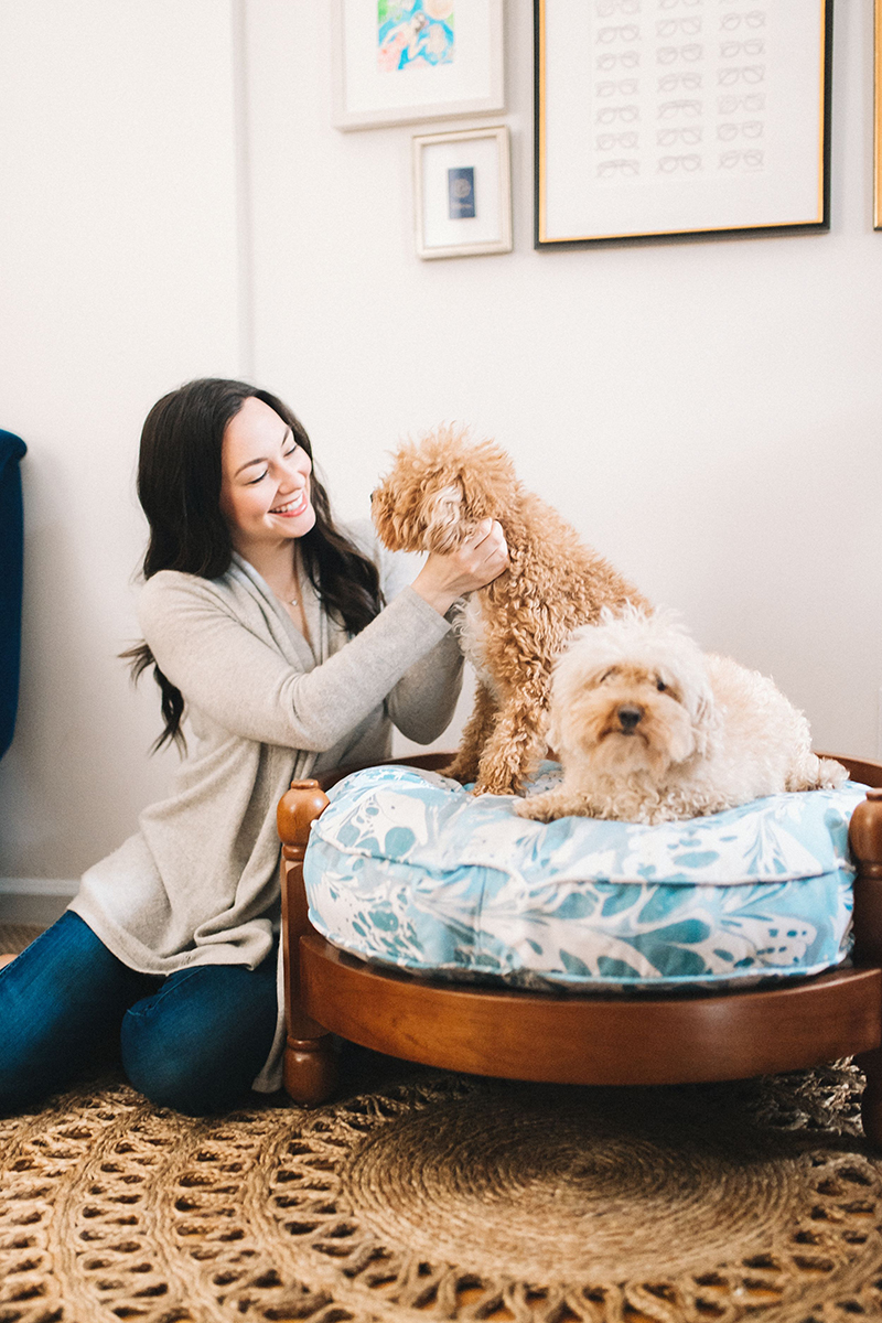 Designer Dog Bed