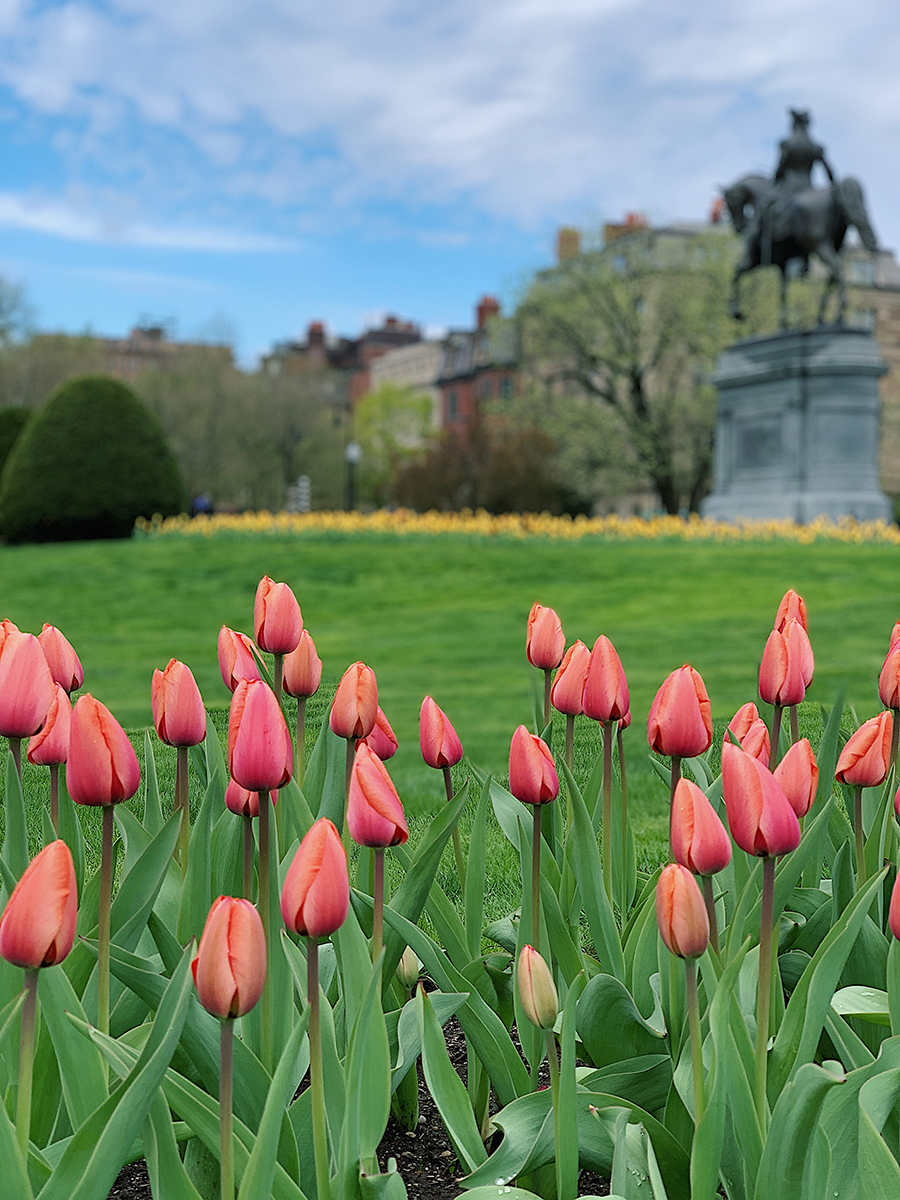 Boston Commons