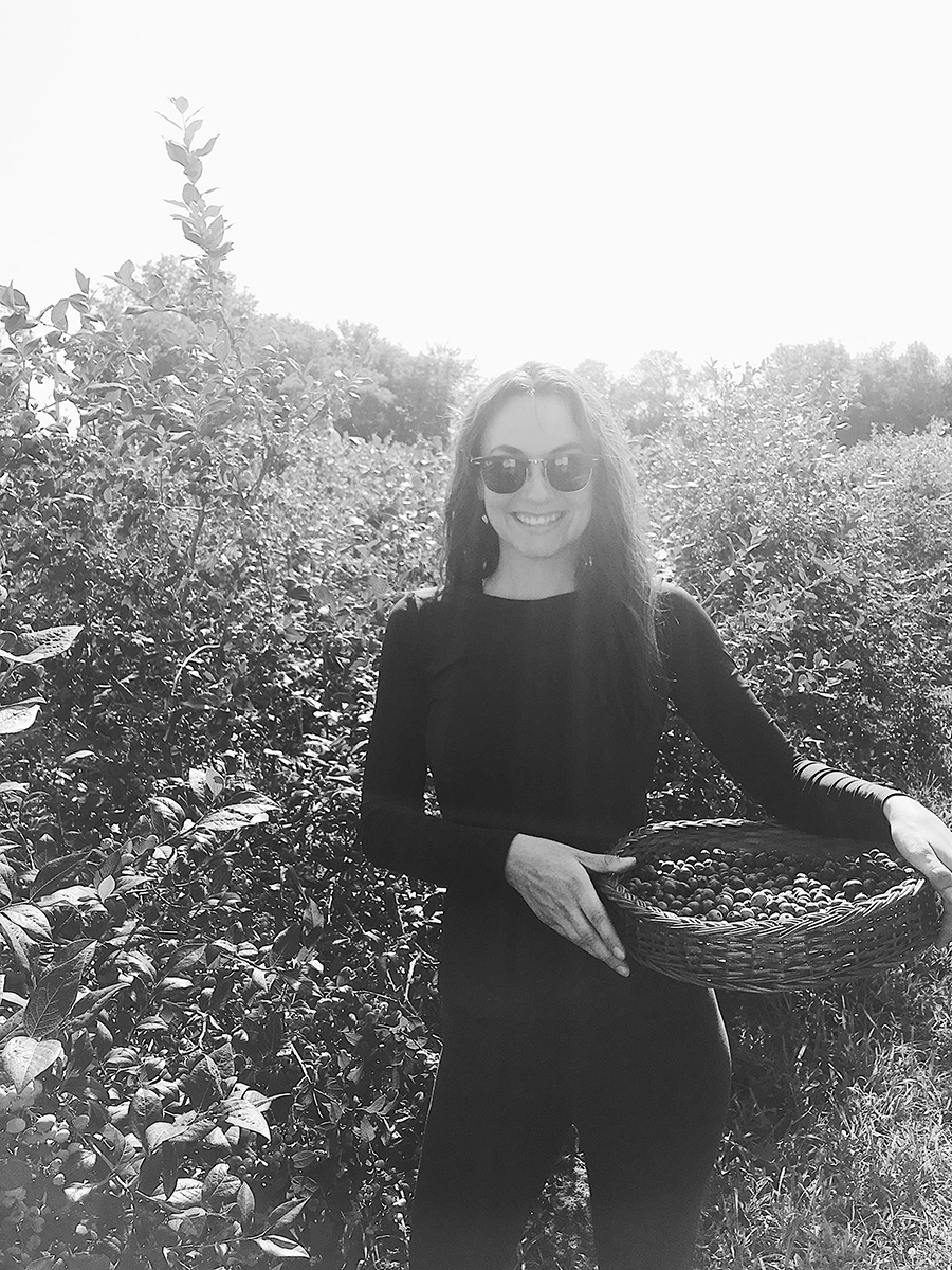 Blueberry Picking