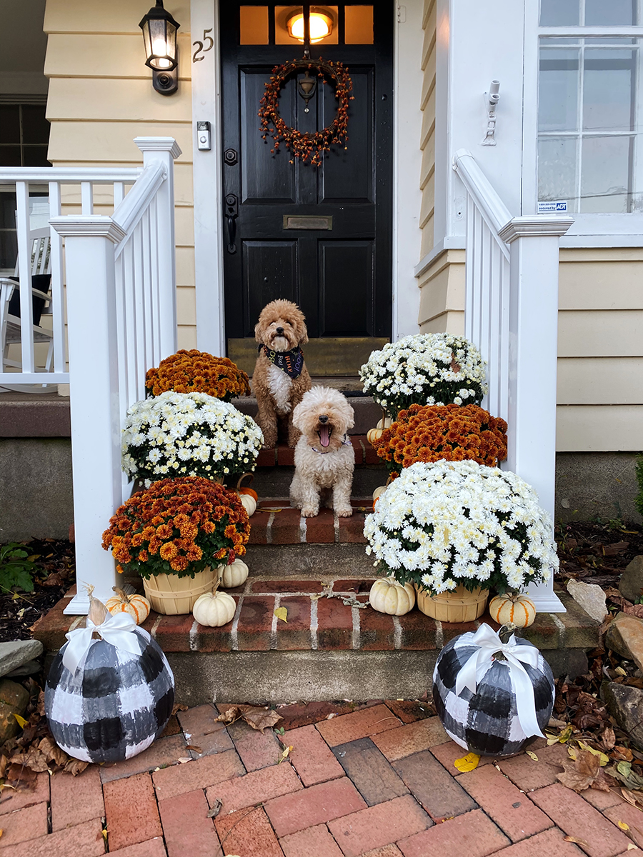 Gingham Pumpkins