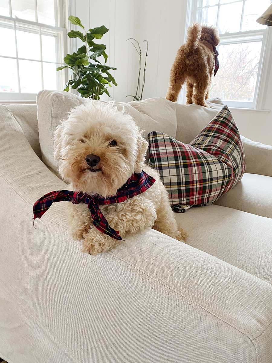 Pottery Barn Couch