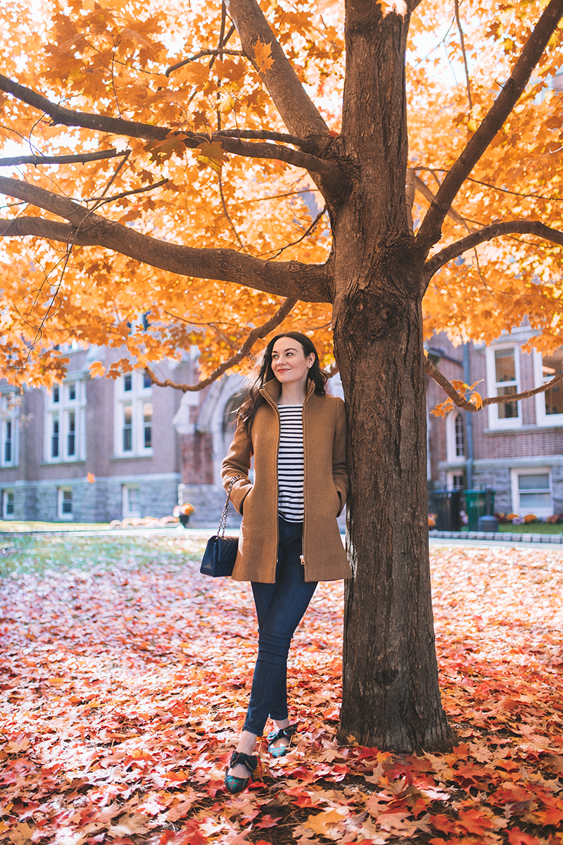 Preppy Fall Outfit