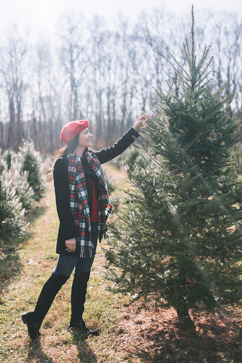 Hidden Pond Christmas Tree Farm