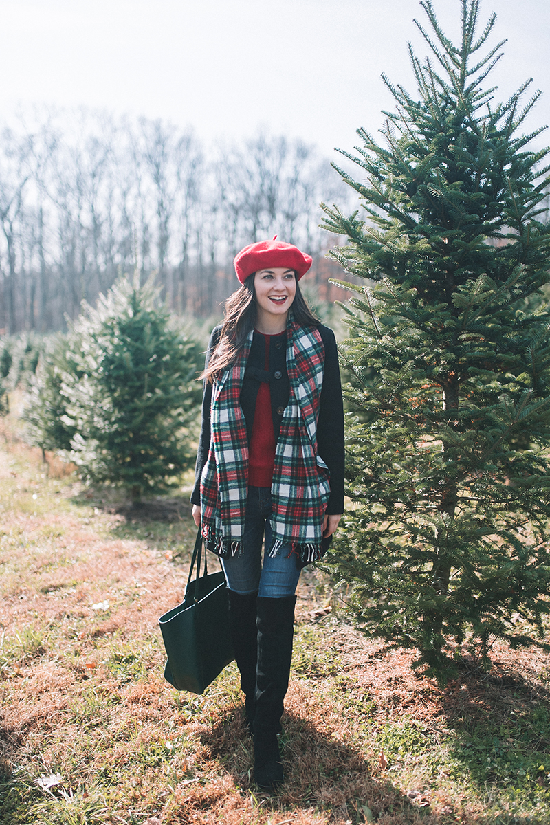 J. Crew Plaid Scarf