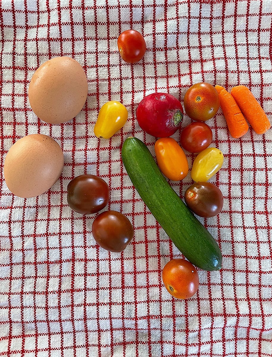 boiled eggs and vegetables