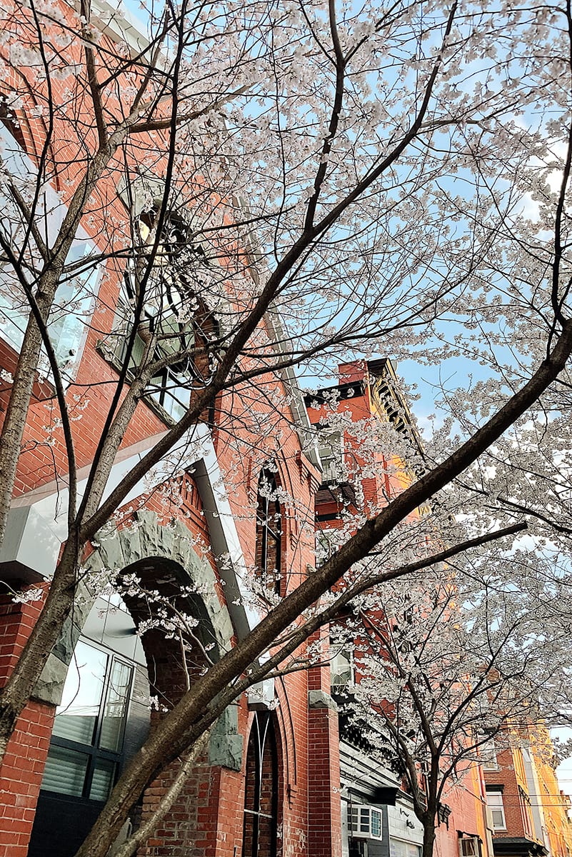 Hoboken in spring