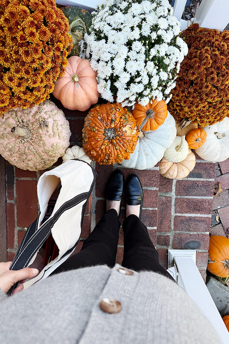 Black Margaux loafers in front of pumpkins!